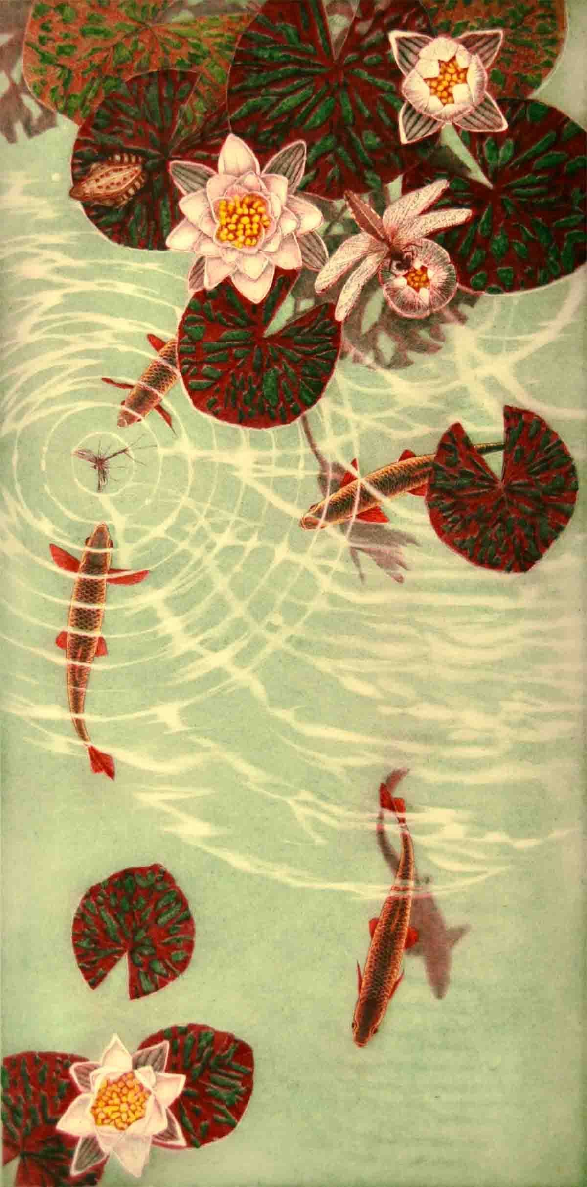 Chris Allan, ‘Rudd and Water lilies’, etching