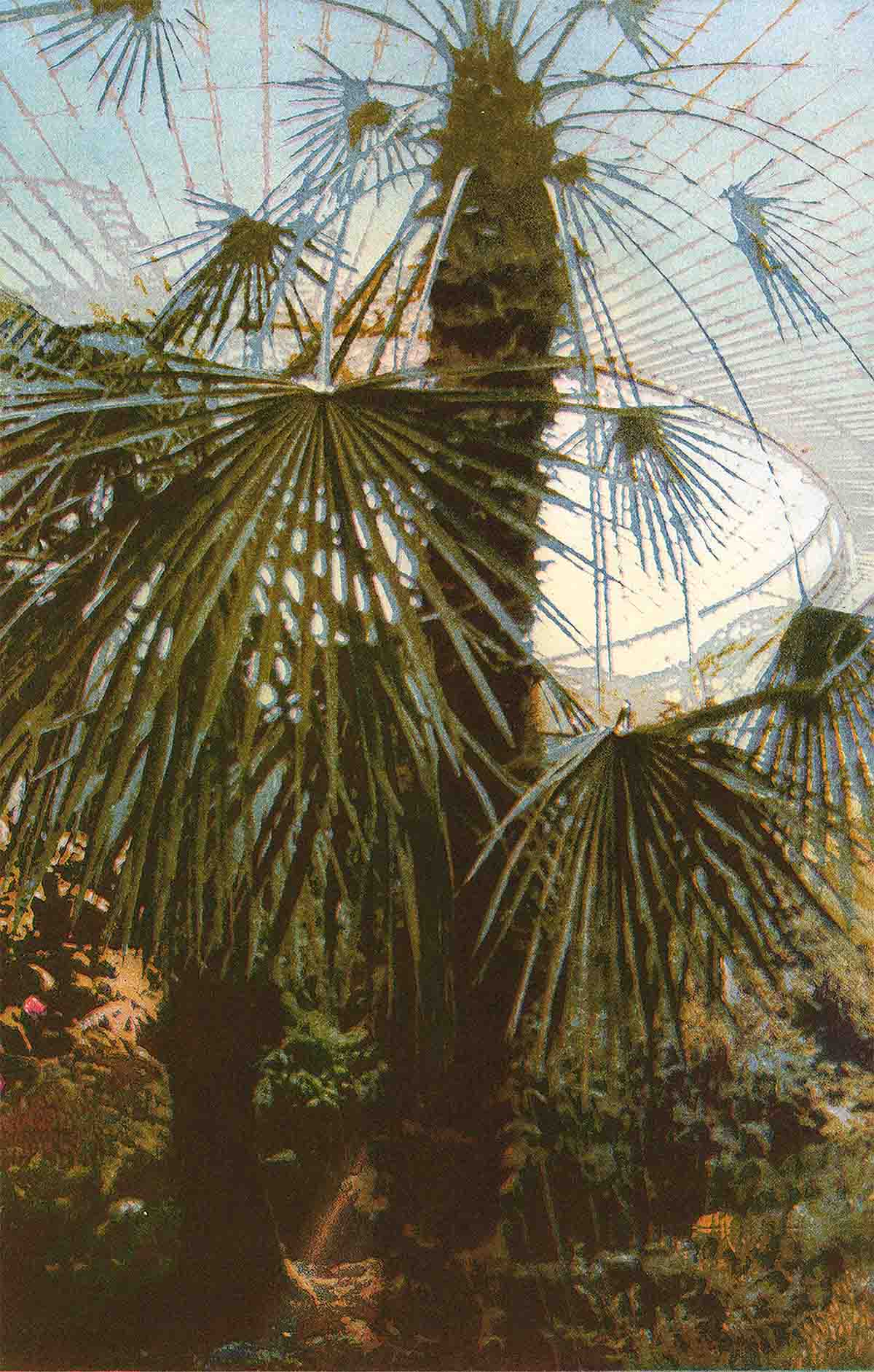 John Mackechnie, ‘Kibble Palace - Refraction’, etching