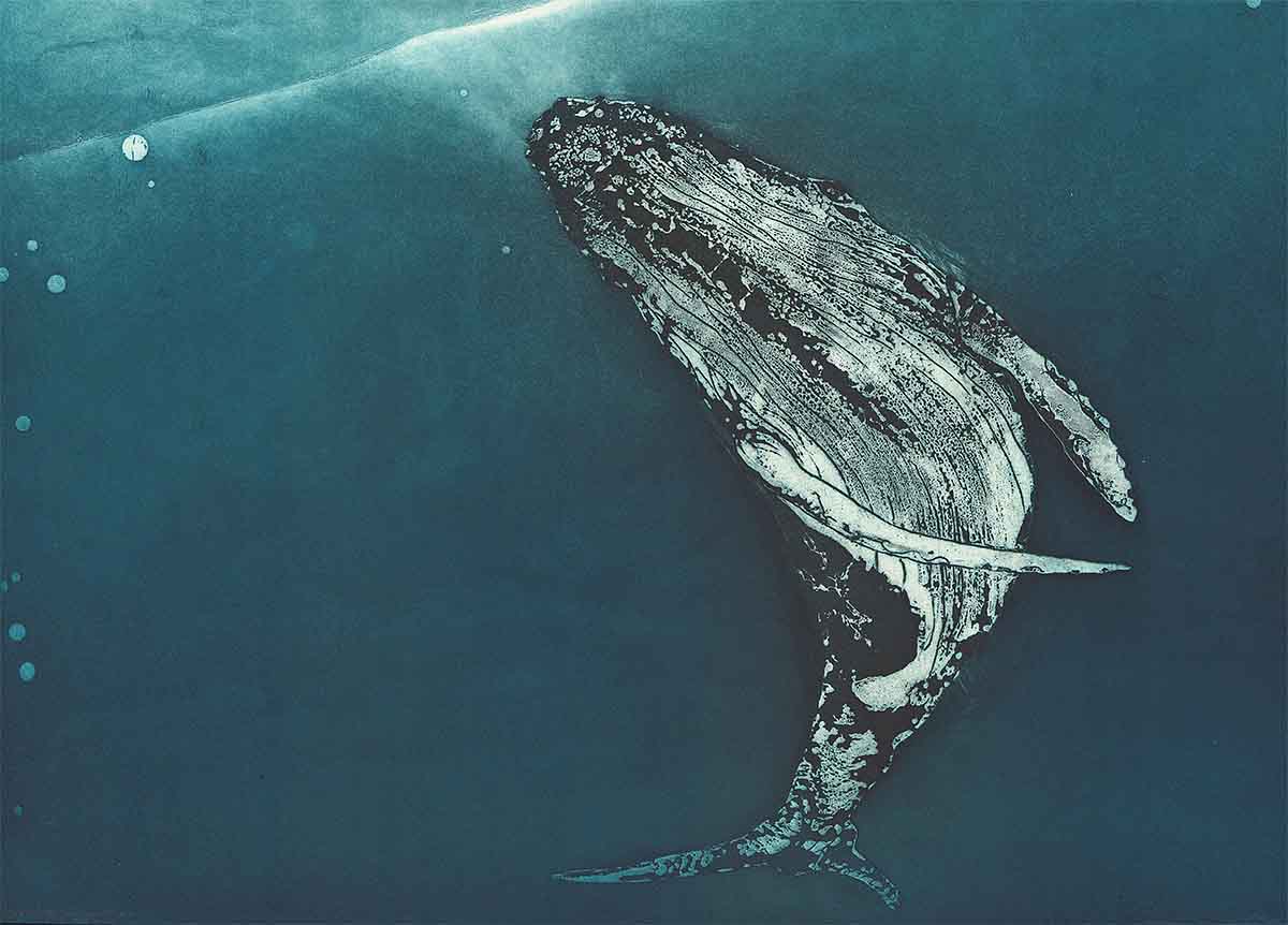 Marion Macphee, ‘Leviathan VII’, etching
